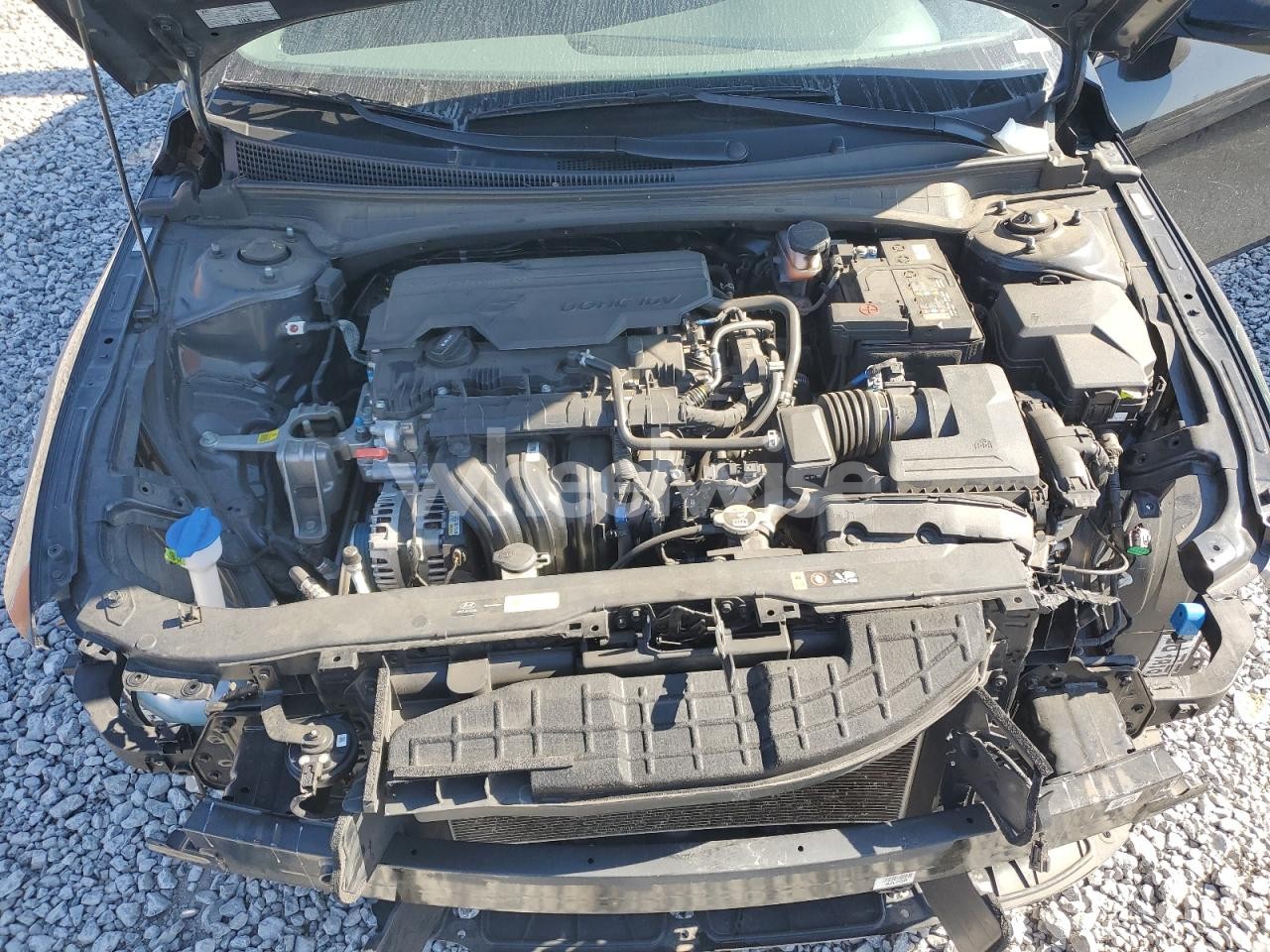 Photo 11 of 2024 HYUNDAI ELANTRA SEL (VIN KMHLM4DG0RU735157)