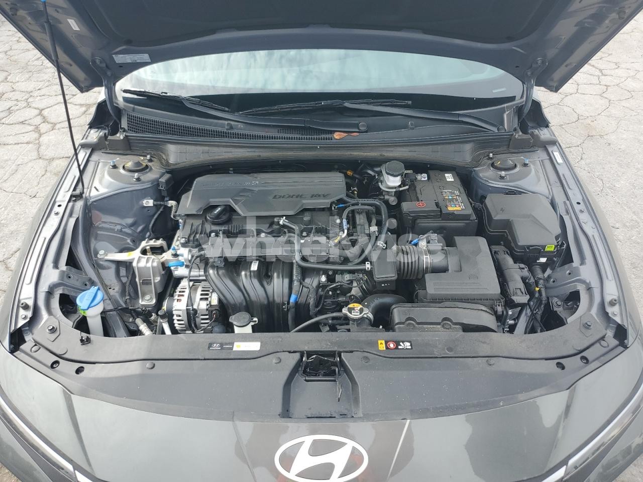 Photo 11 of 2025 HYUNDAI ELANTRA SEL SPORT (VIN KMHLM4DG5SU904563)