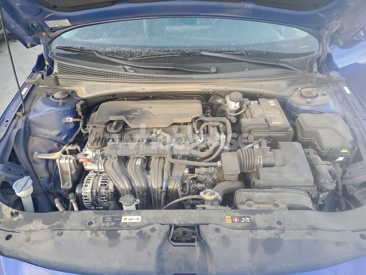 Photo 11 of 2024 HYUNDAI ELANTRA SEL (VIN KMHLM4DG7RU785859)