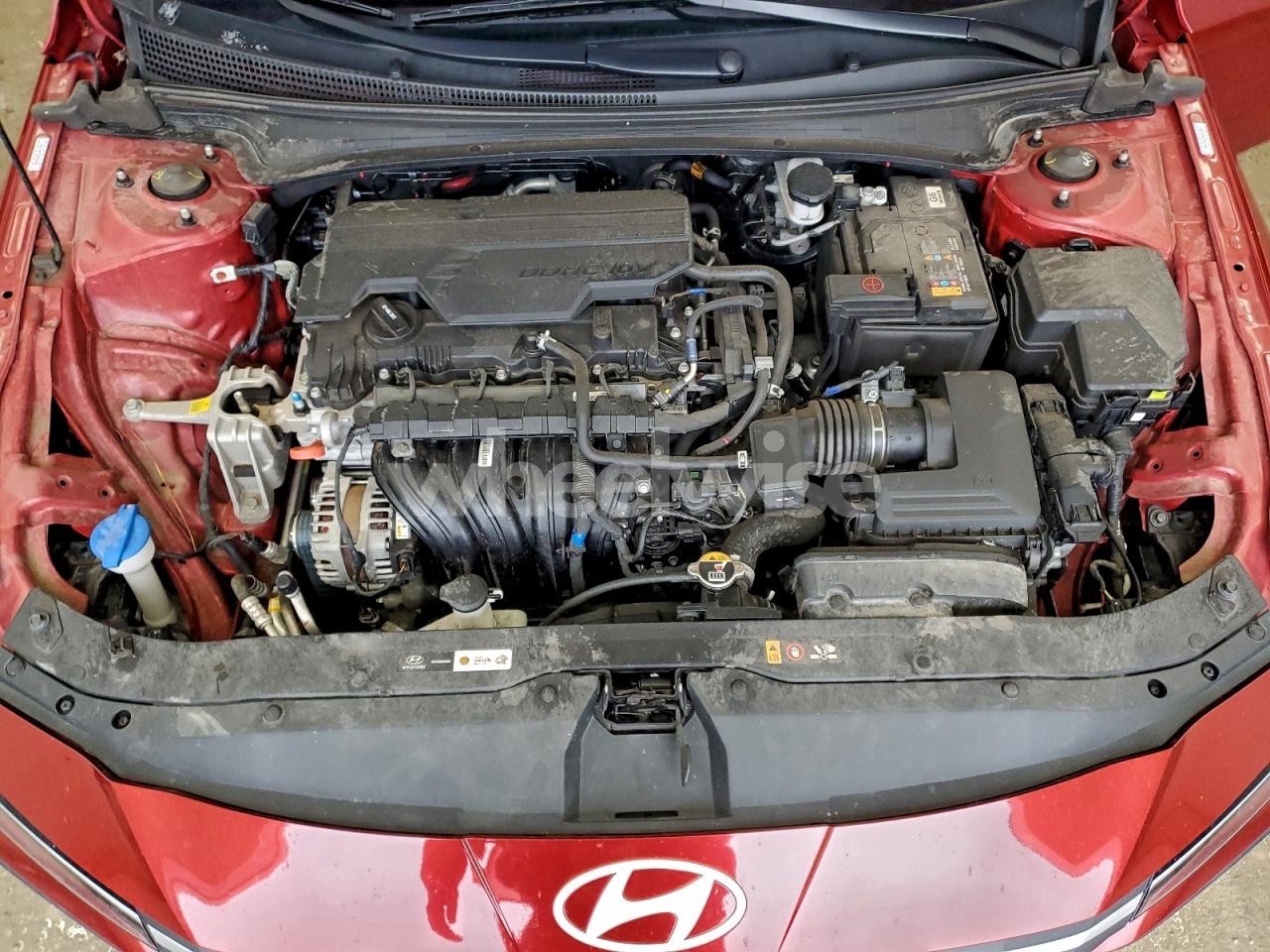 Photo 11 of 2024 HYUNDAI ELANTRA SEL (VIN KMHLM4DG7RU822456)