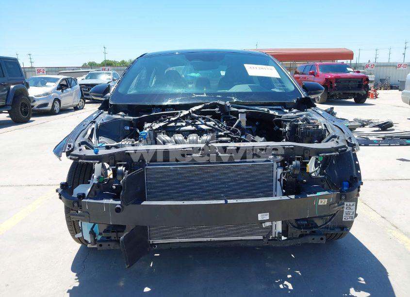 Photo 13 of 2025 Hyundai Elantra SEL SPORT (VIN KMHLM4DG7SU917864)