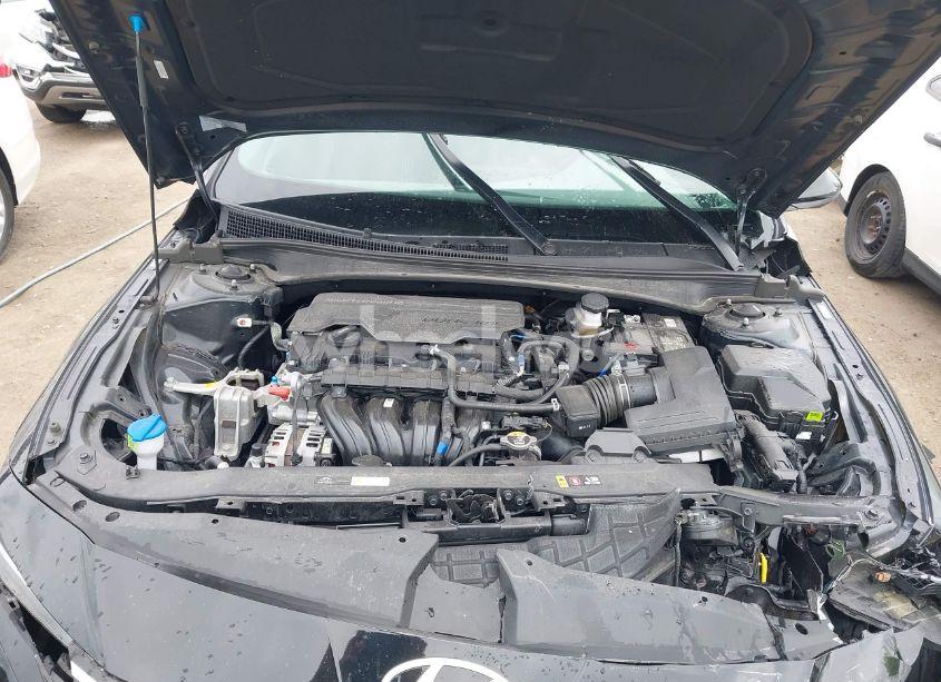 Photo 10 of 2024 Hyundai Elantra SEL (VIN KMHLM4DG8RU690033)