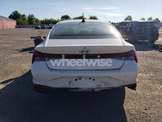 2023 HYUNDAI ELANTRA SEL (VIN KMHLN4AG0PU541422) main photo