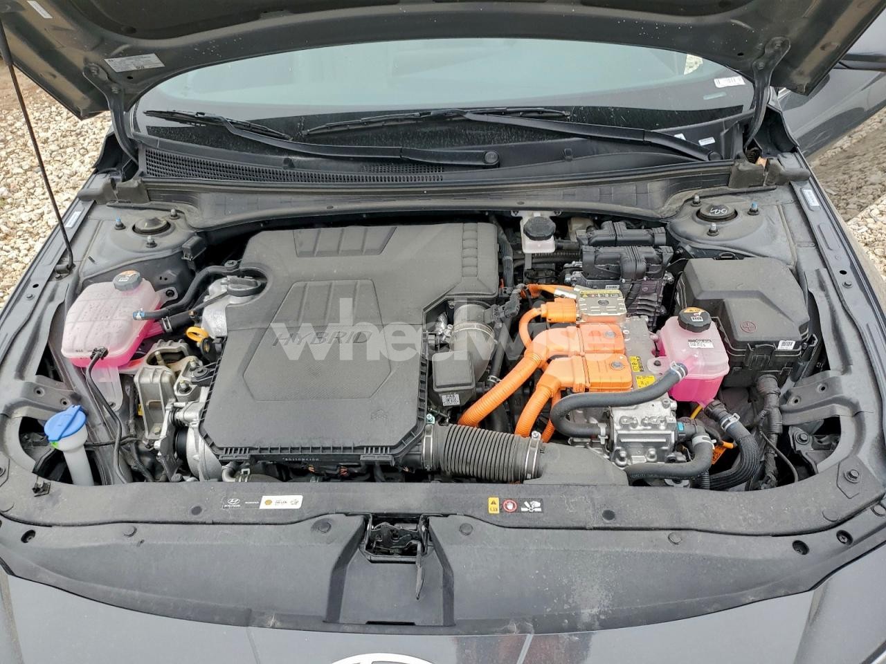 Photo 11 of 2025 HYUNDAI ELANTRA LIMITED (VIN KMHLN4DJ7SU145990)