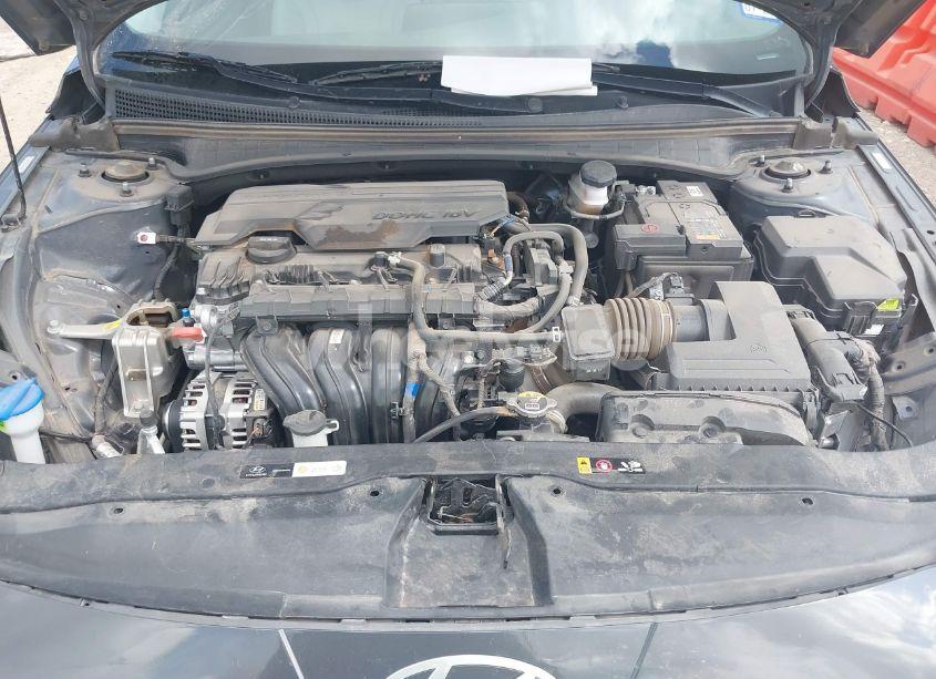 Photo 10 of 2024 Hyundai Elantra LIMITED (VIN KMHLP4DG2RU828365)