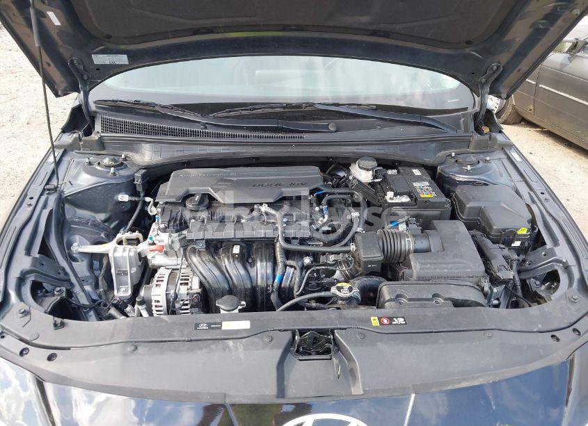 Photo 10 of 2024 Hyundai Elantra LIMITED (VIN KMHLP4DG5RU769067)