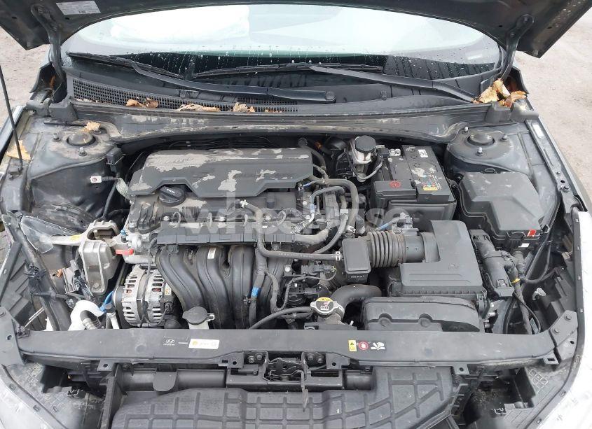 Photo 10 of 2023 Hyundai Elantra SEL (VIN KMHLS4AGXPU551660)