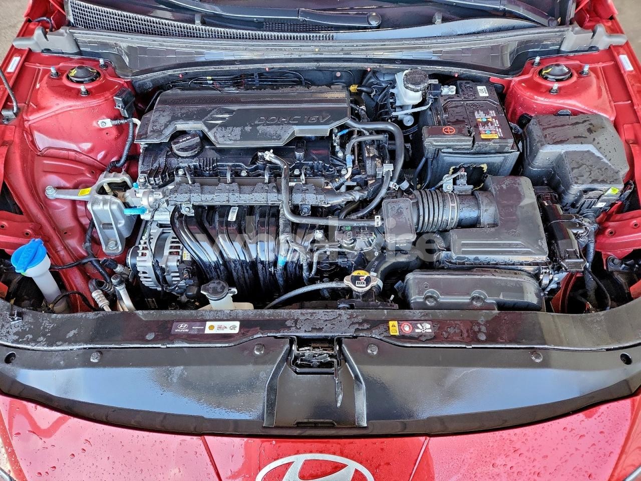 Photo 11 of 2025 HYUNDAI ELANTRA SEL (VIN KMHLS4DG0SU897396)