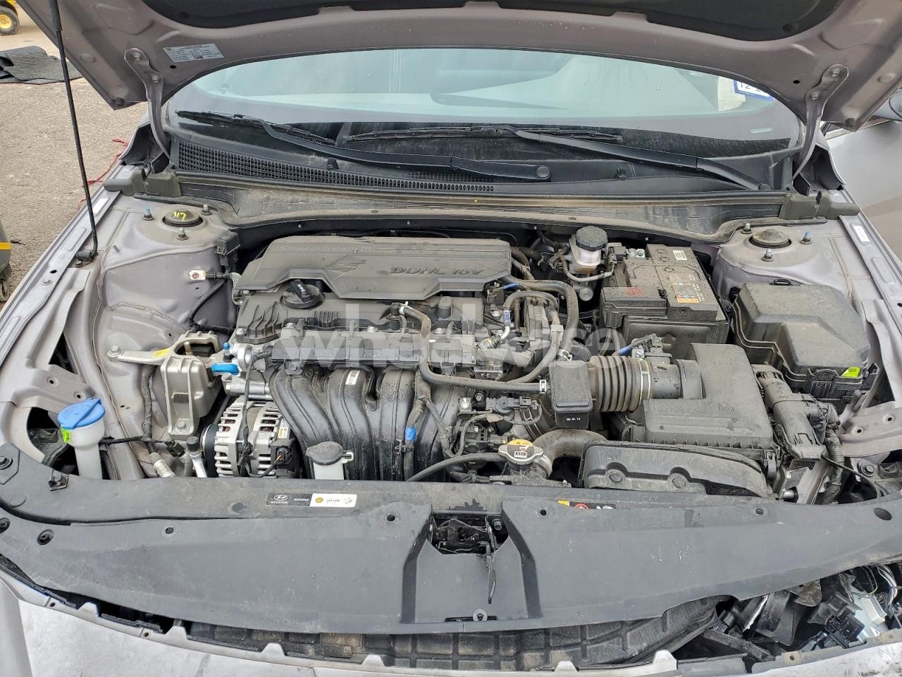 Photo 11 of 2025 HYUNDAI ELANTRA SEL (VIN KMHLS4DG3SU913266)