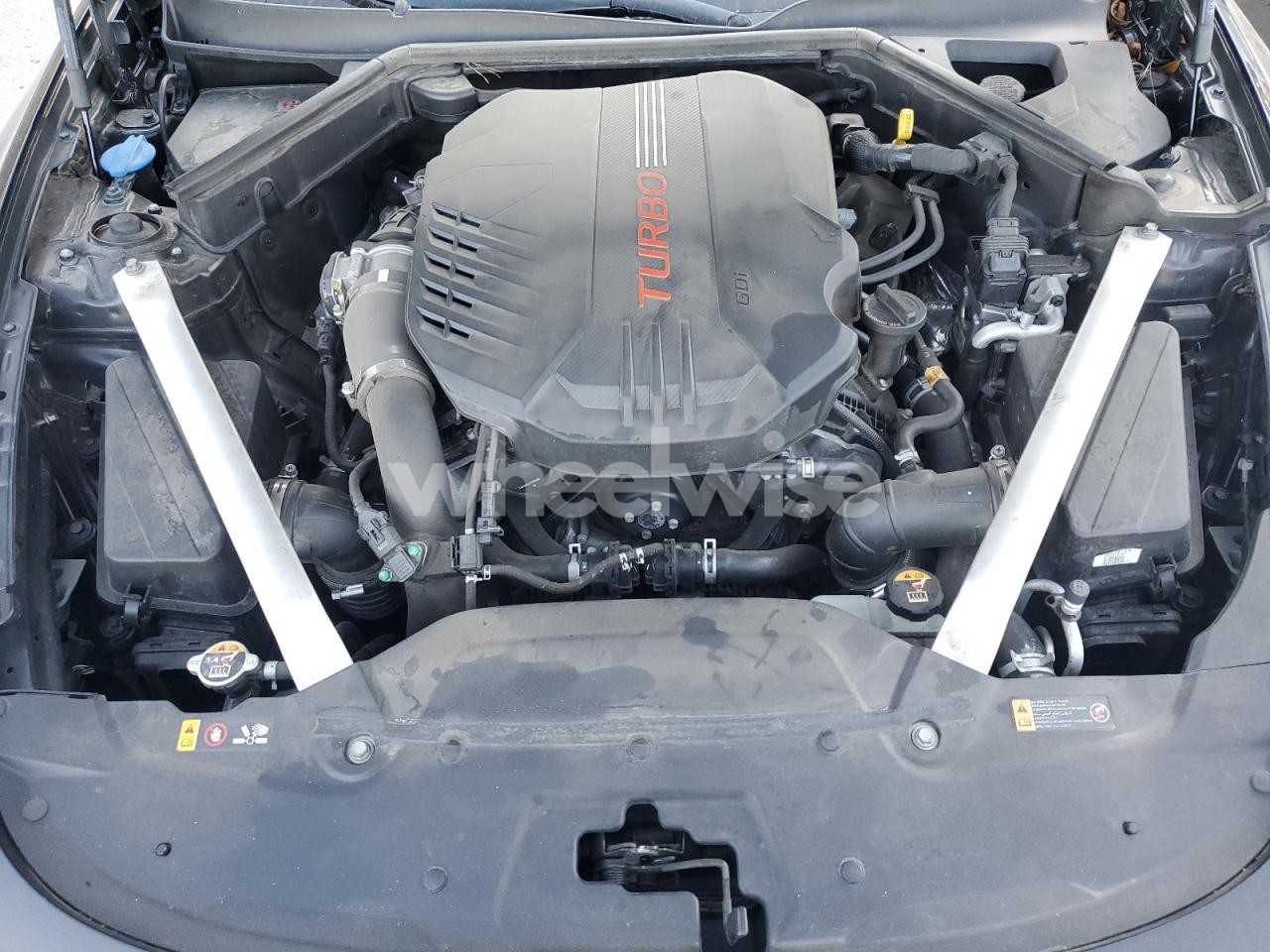 Photo 11 of 2019 KIA STINGER GT1 (VIN KNAE45LC2K6064891)