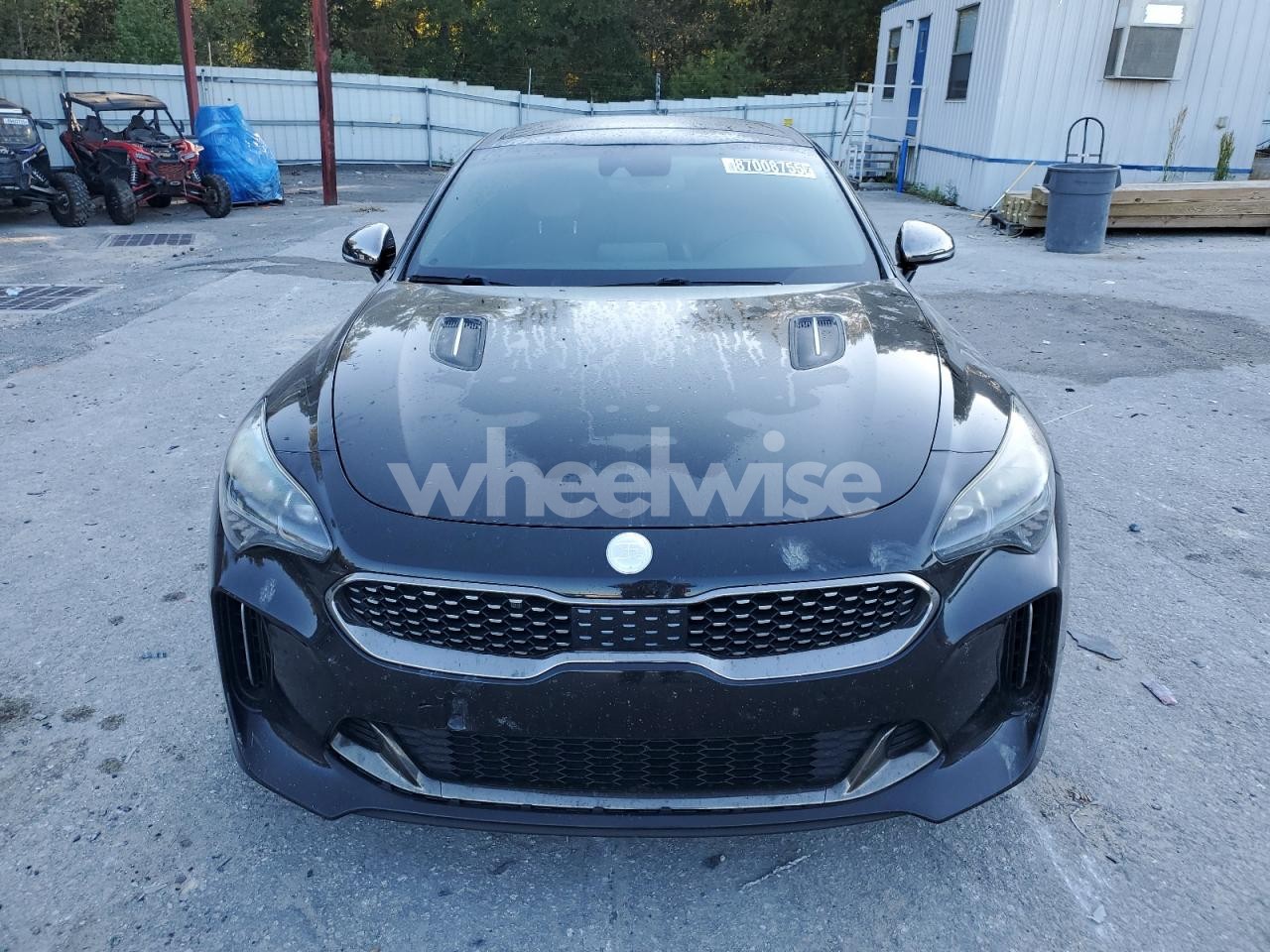 Photo 5 of 2019 KIA STINGER GT1 (VIN KNAE45LC2K6064891)