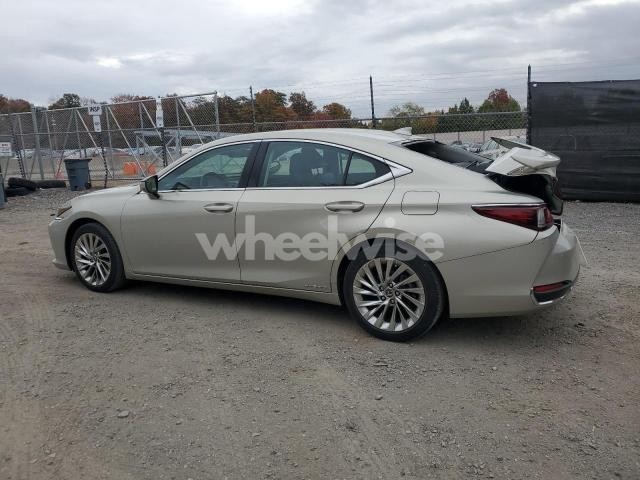 Photo 5 of 2019 LEXUS ES 300H (VIN KNAF241CMK5024329)