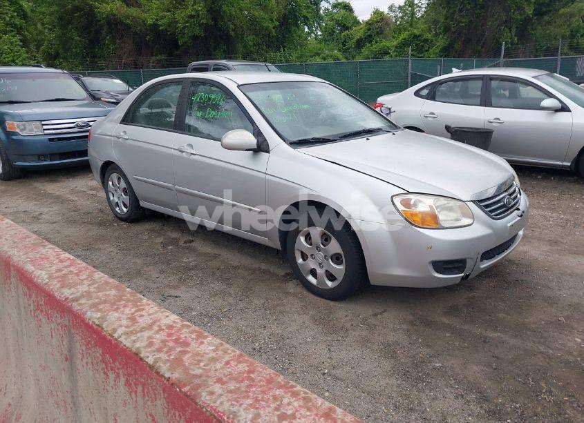 2008 Kia Spectra EX (VIN KNAFE122485577402) main photo