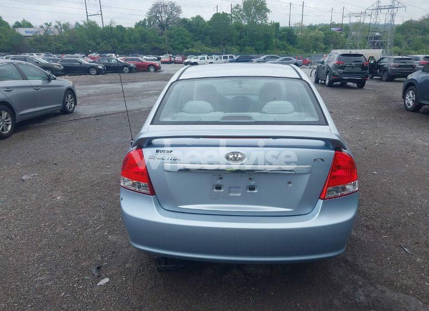 Photo 17 of 2008 Kia Spectra EX (VIN KNAFE122685575134)