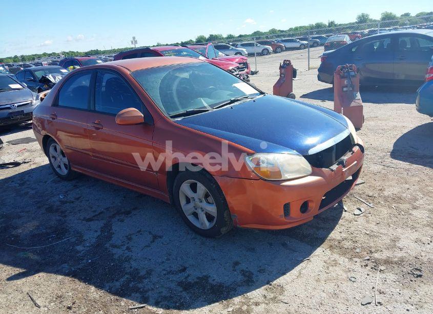 2009 Kia Spectra SX (VIN KNAFE221195026584) main photo