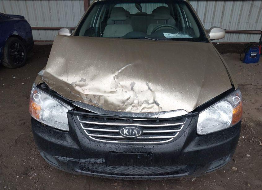 Photo 6 of 2009 Kia Spectra EX (VIN KNAFE221395647549)