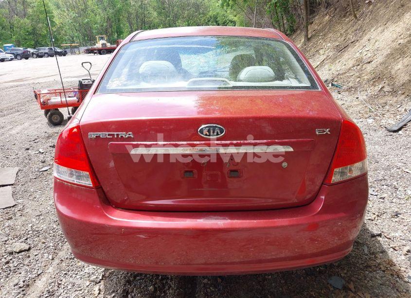 Photo 16 of 2009 Kia Spectra EX (VIN KNAFE221995651296)