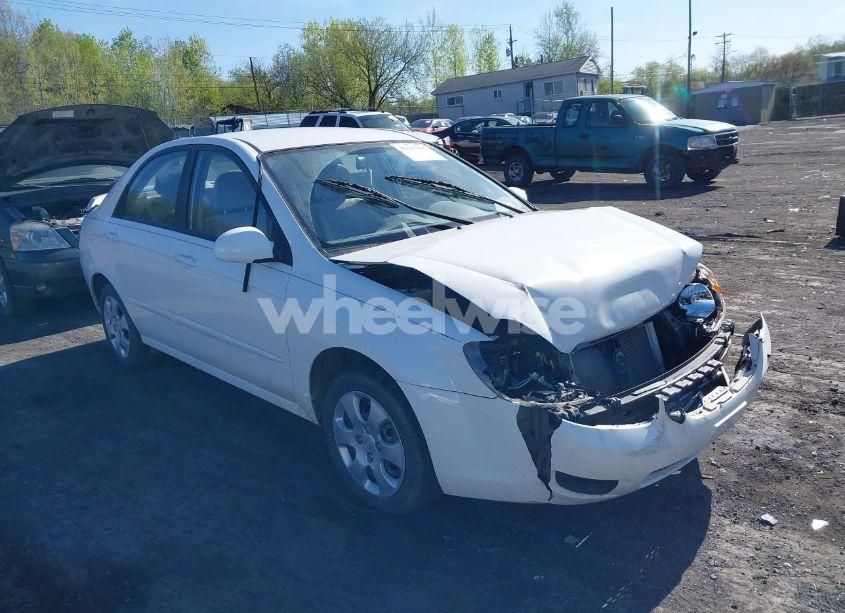 2009 Kia Spectra LX (VIN KNAFE222595616439) main photo