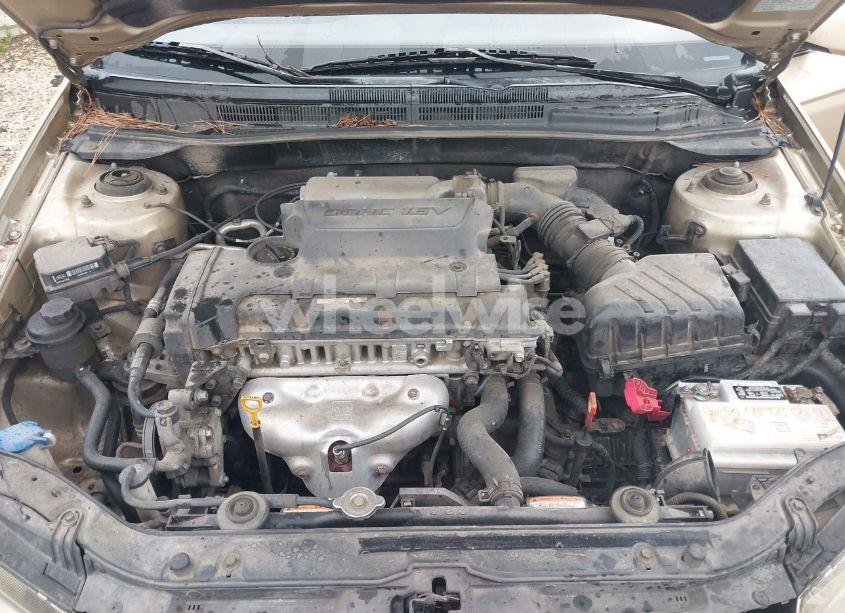 Photo 10 of 2009 Kia Spectra EX (VIN KNAFE222595665902)