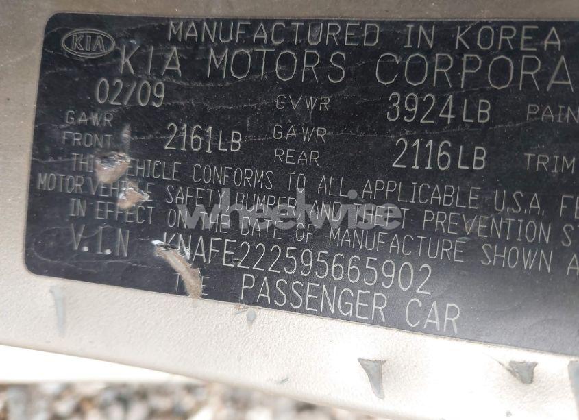 Photo 9 of 2009 Kia Spectra EX (VIN KNAFE222595665902)
