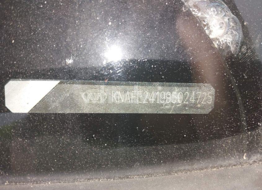 Photo 9 of 2009 Kia Spectra5 SX (VIN KNAFE241995024725)
