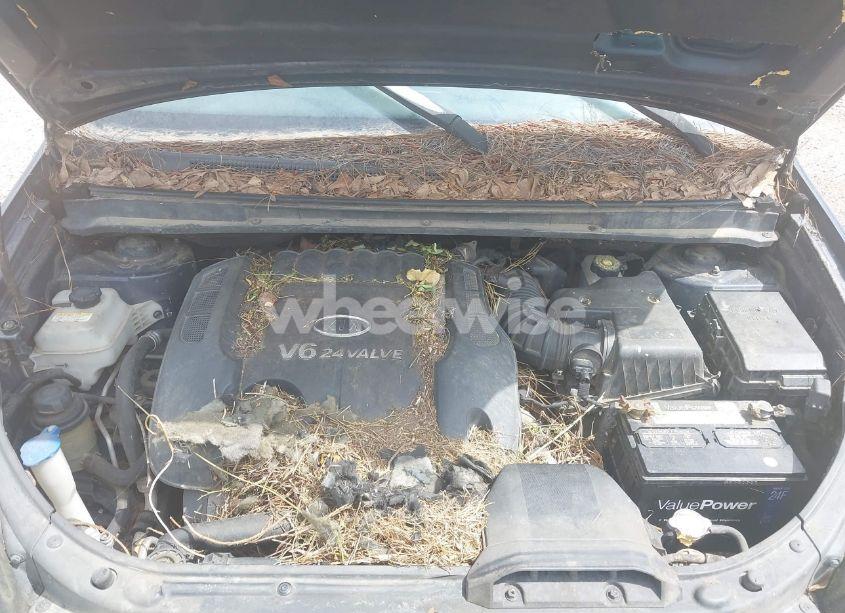 Photo 10 of 2007 Kia Rondo LX V6 (VIN KNAFG526477110293)