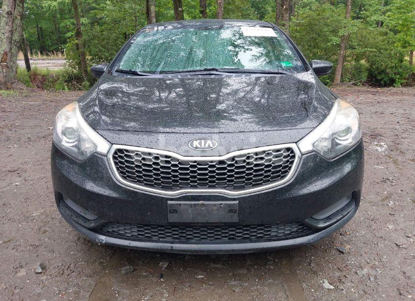 Photo 12 of 2016 Kia Forte LX (VIN KNAFK4A63G5540385)