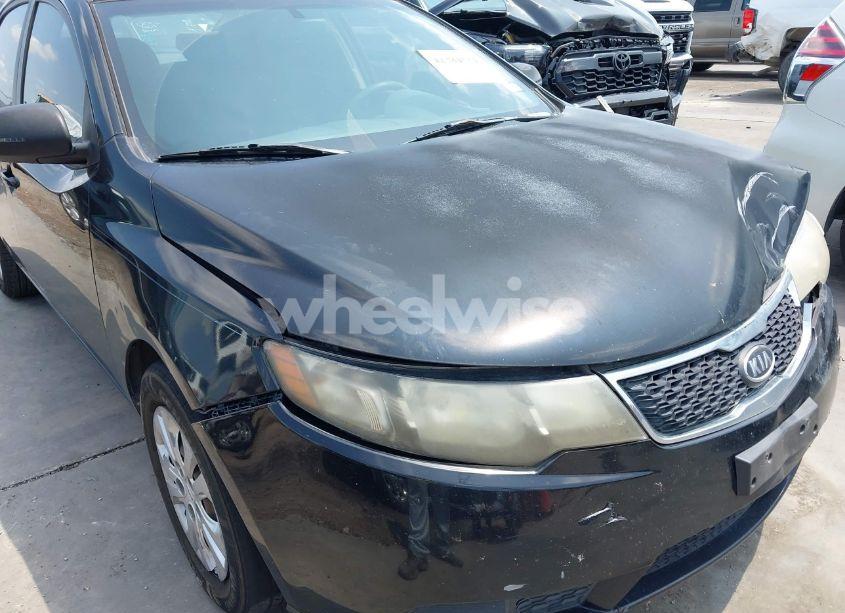 Photo 15 of 2013 Kia Forte EX (VIN KNAFU4A21D5669213)