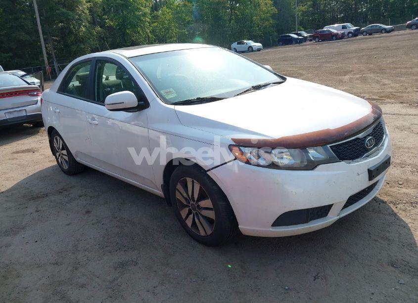 2013 Kia Forte EX (VIN KNAFU4A22D5665767) main photo