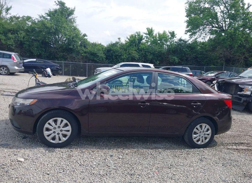 Photo 14 of 2011 Kia Forte EX (VIN KNAFU4A25B5890794)