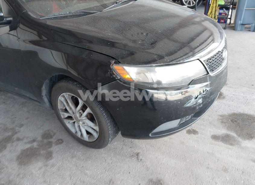 Photo 12 of 2012 Kia Forte EX (VIN KNAFU4A25C5611099)