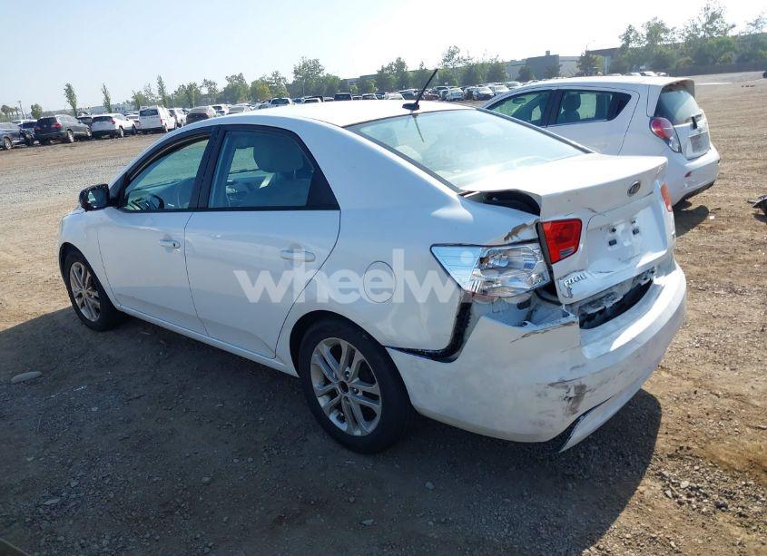 Photo 3 of 2012 Kia Forte EX (VIN KNAFU4A27C5566697)