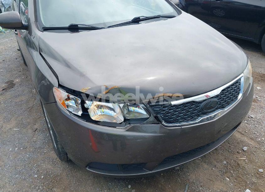 Photo 6 of 2013 Kia Forte EX (VIN KNAFU4A27D5655087)