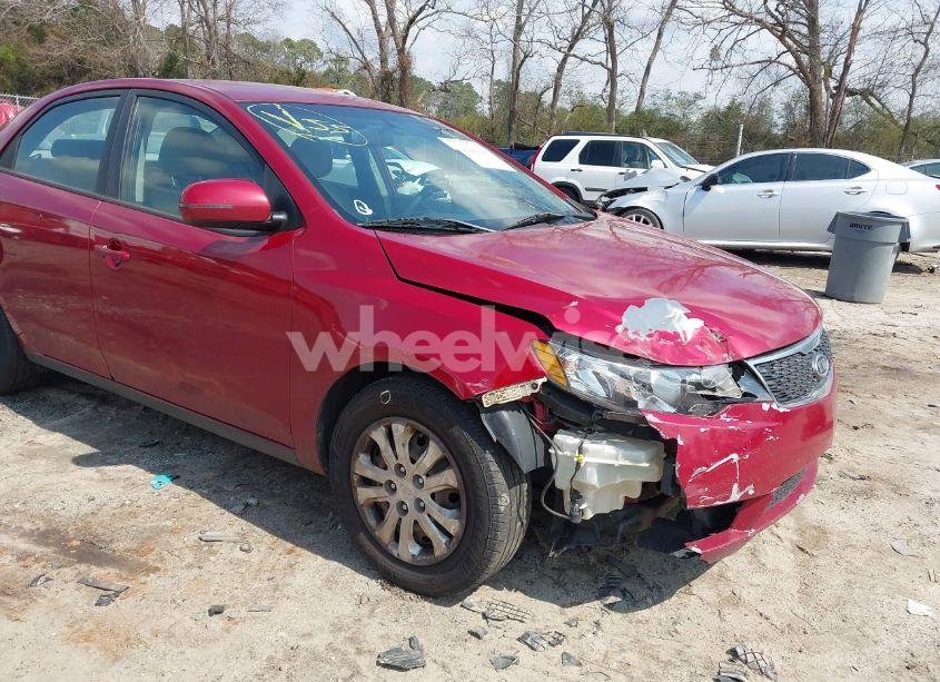 Photo 6 of 2011 Kia Forte EX (VIN KNAFU4A28B5445241)