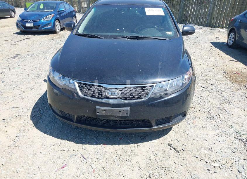 Photo 6 of 2012 Kia Forte EX (VIN KNAFU4A29C5567768)
