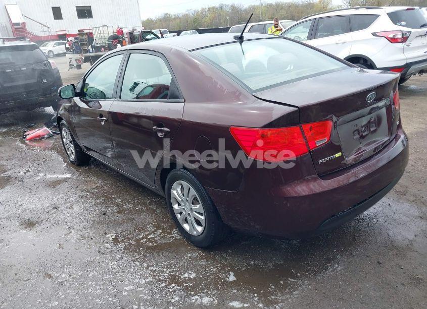Photo 3 of 2011 Kia Forte EX (VIN KNAFU4A2XB5389223)