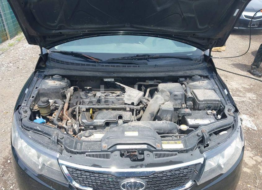 Photo 10 of 2011 Kia Forte EX (VIN KNAFU5A22B5328860)