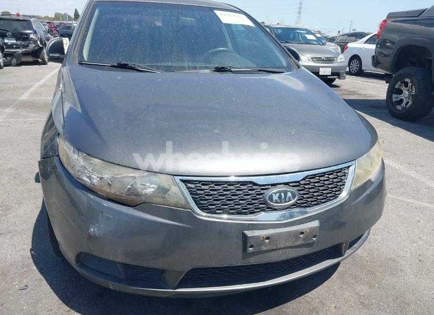 Photo 6 of 2013 Kia Forte EX (VIN KNAFU5A22D5701964)