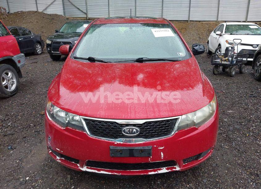 Photo 12 of 2012 Kia Forte EX (VIN KNAFU5A23C5577718)