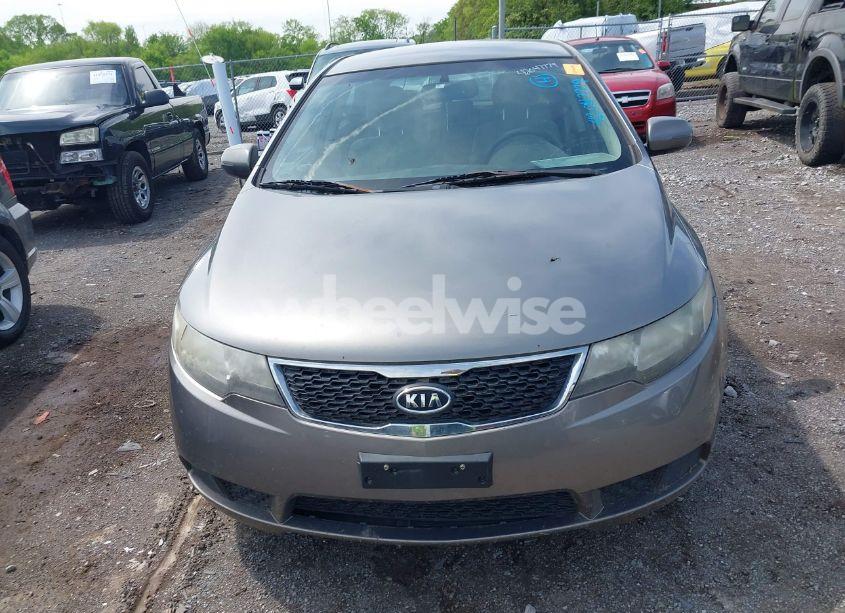 Photo 6 of 2011 Kia Forte EX (VIN KNAFU5A28B5418322)