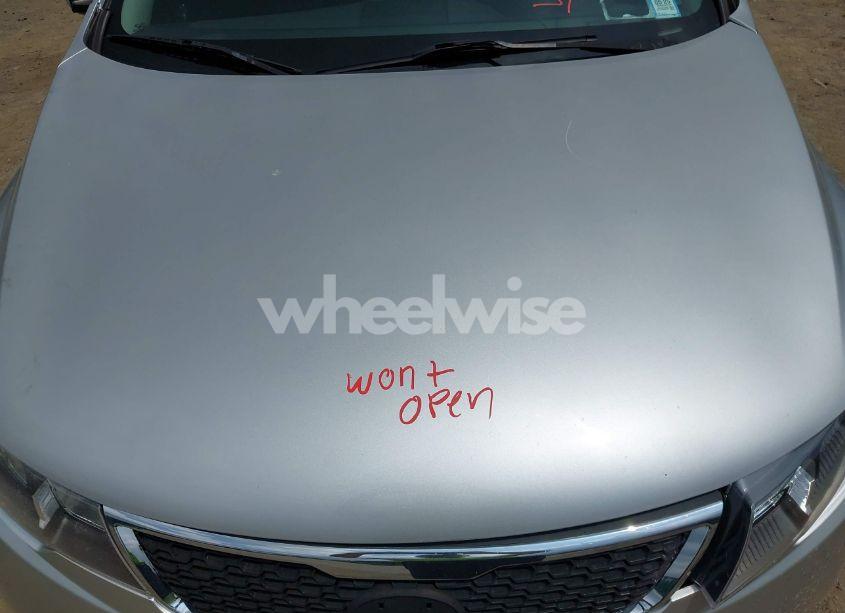 Photo 10 of 2011 Kia Forte SX (VIN KNAFW5A34B5334047)