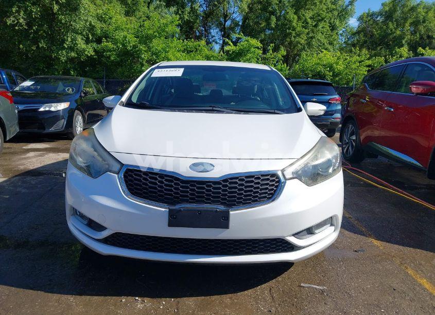 Photo 13 of 2014 Kia Forte EX (VIN KNAFX4A89E5050968)