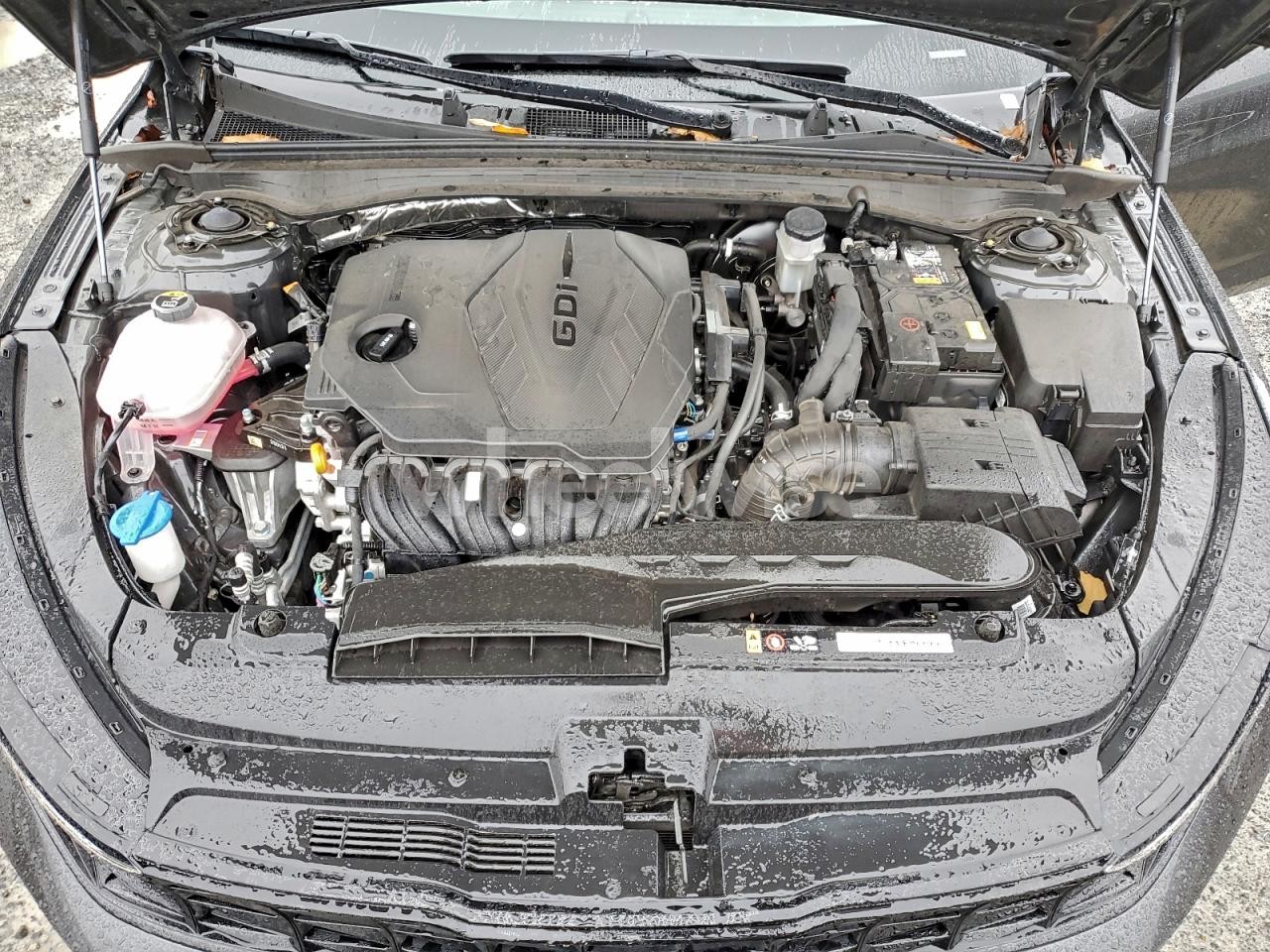 Photo 11 of 2025 KIA K5 LXS (VIN KNAG24J70S5363638)