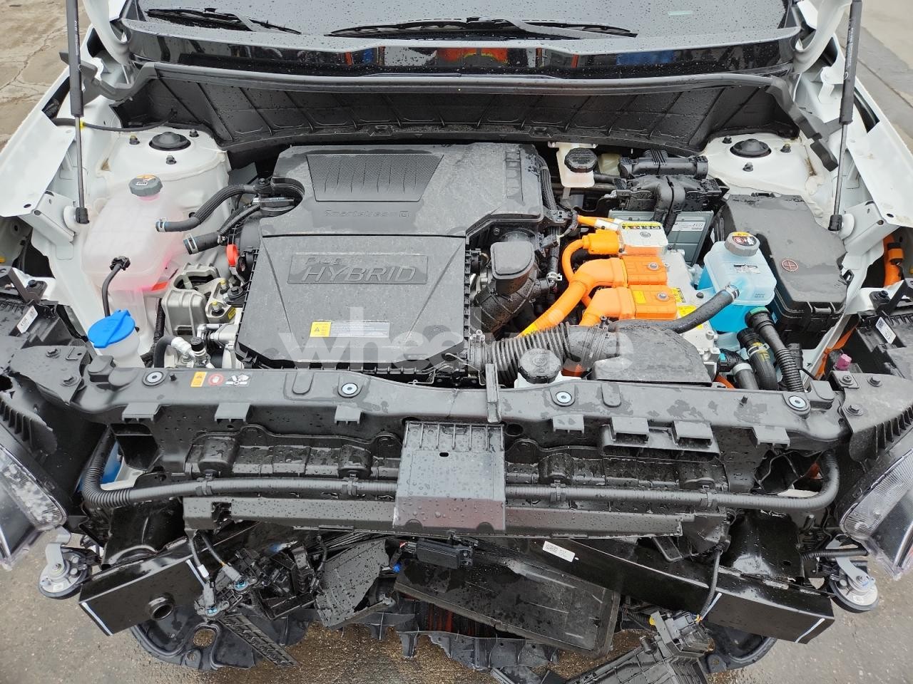 Photo 12 of 2025 KIA NIRO SX TOURING (VIN KNDCR3LF6S5259246)