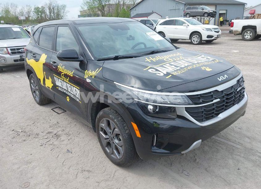 2024 Kia Seltos LX (VIN KNDEPCAA6R7538104) main photo