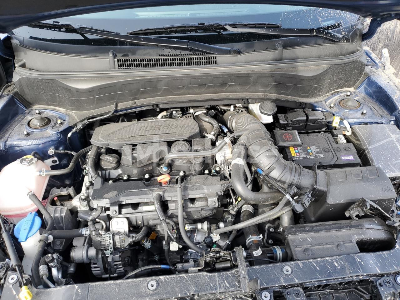 Photo 11 of 2025 KIA SELTOS SX (VIN KNDETCA75S7690736)