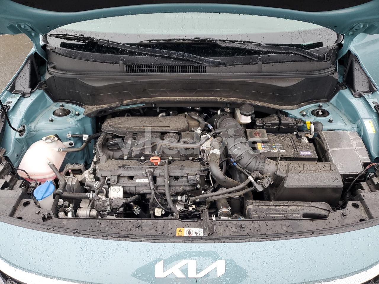 Photo 11 of 2024 KIA SELTOS SX (VIN KNDETCA79R7601440)