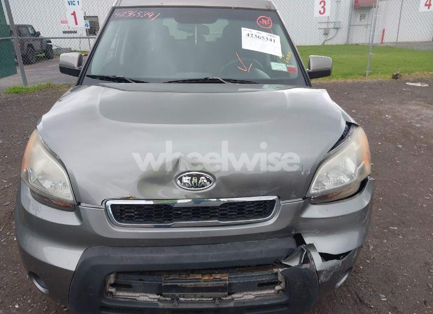 Photo 6 of 2010 Kia Soul + (VIN KNDJT2A29A7035846)
