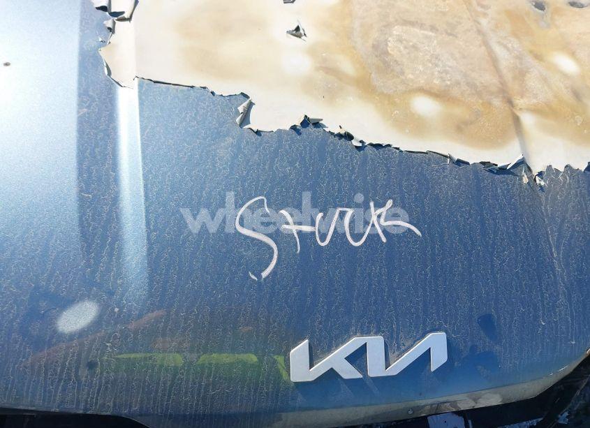 Photo 10 of 2024 Kia Carnival MPV SX PRESTIGE (VIN KNDNE5H34R6326039)