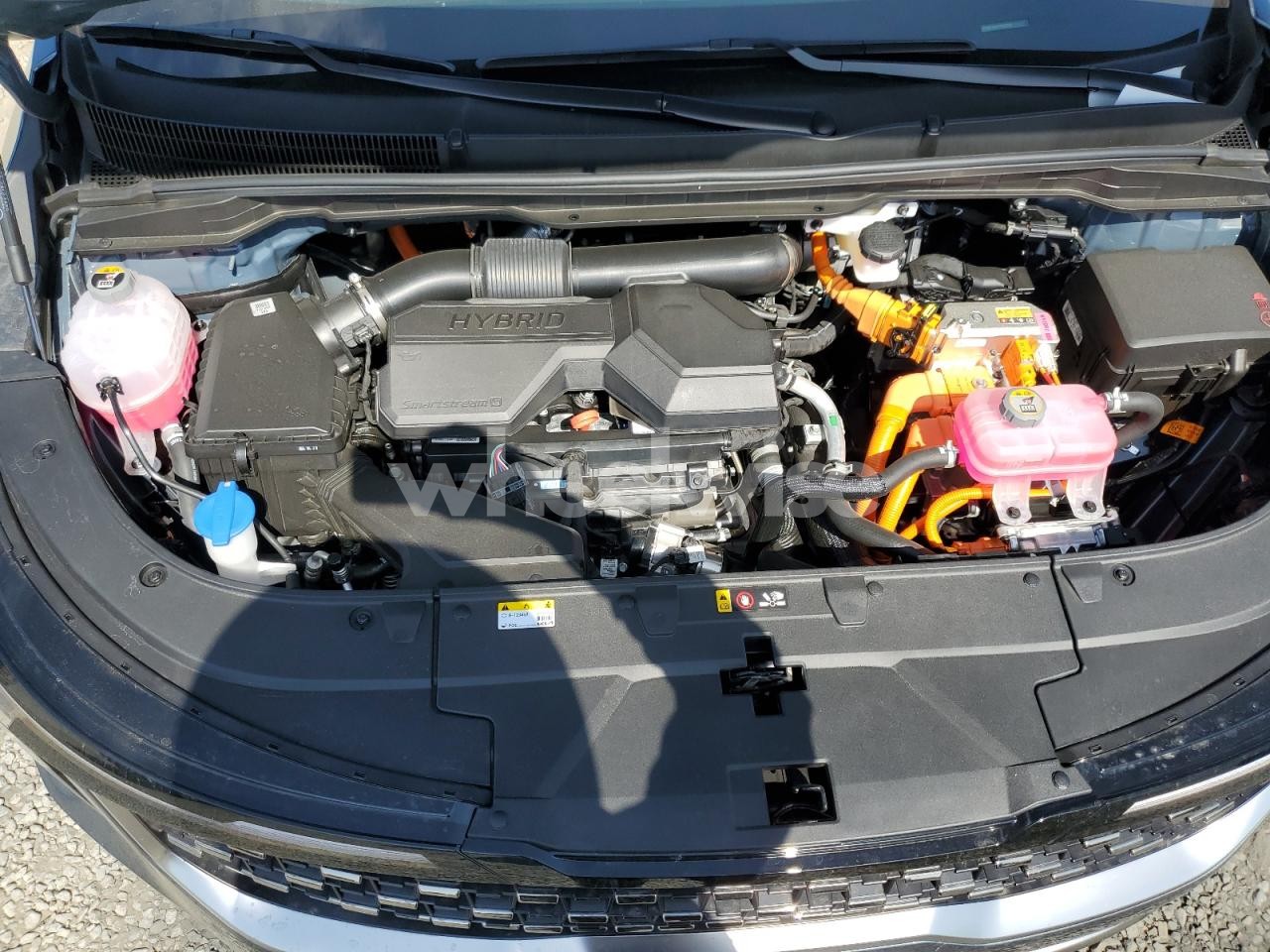 Photo 12 of 2026 KIA CARNIVAL SX (VIN KNDNE5KA6T6092582)